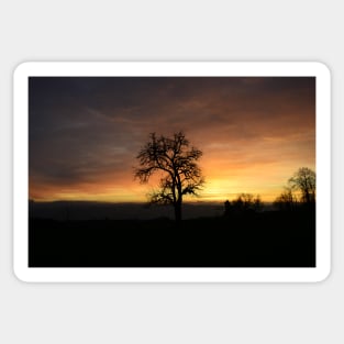 Tree sunset / Swiss Artwork Photography Sticker